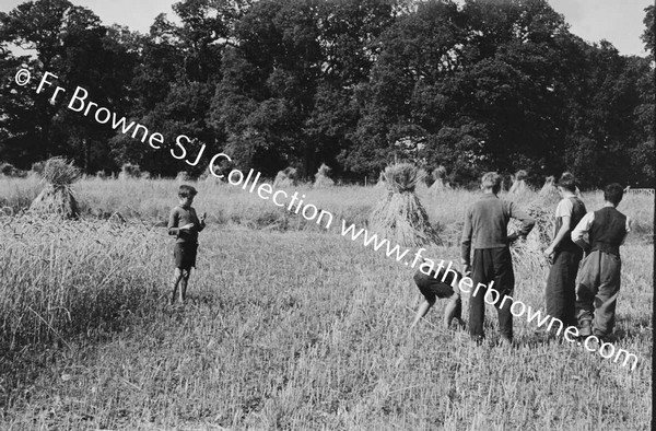 HARVESTING AT ST MARY'S THE HELPERS